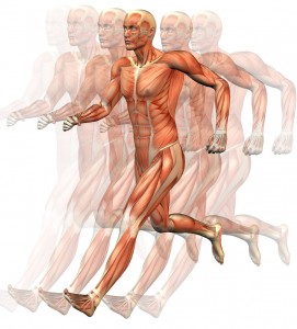 Correr es un ejercicio que quema muchas calorías gracias a que en él intervienen muchos músculos de nuestro cuerpo