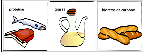 No es lo mismo a nivel calórico un gramo de proteína, que un gramo de CH, que un gramo de grasa